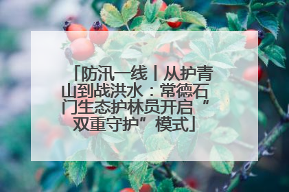 防汛一线丨从护青山到战洪水：常德石门生态护林员开启“双重守护”模式