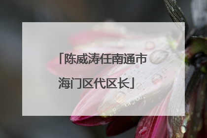 陈威涛任南通市海门区代区长