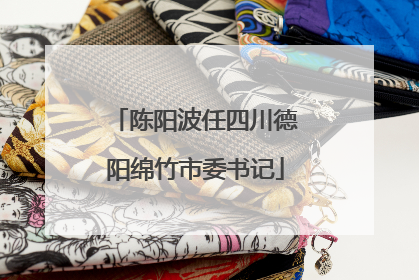 陈阳波任四川德阳绵竹市委书记