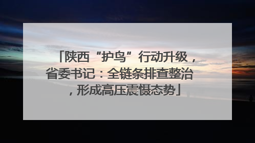 陕西“护鸟”行动升级，省委书记：全链条排查整治，形成高压震慑态势