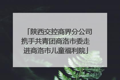 陕西交控商界分公司携手共青团商洛市委走进商洛市儿童福利院