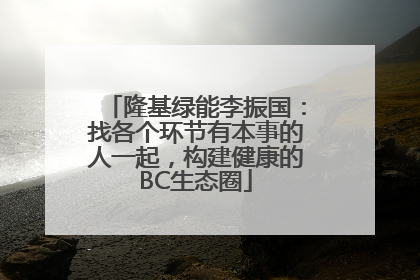 隆基绿能李振国：找各个环节有本事的人一起，构建健康的BC生态圈