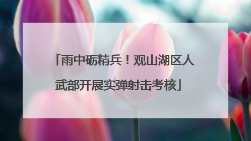 雨中砺精兵！观山湖区人武部开展实弹射击考核