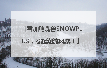 雪加鸭嘴兽SNOWPLUS，卷起潮流风暴！