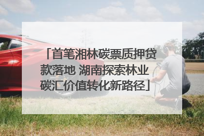 首笔湘林碳票质押贷款落地 湖南探索林业碳汇价值转化新路径
