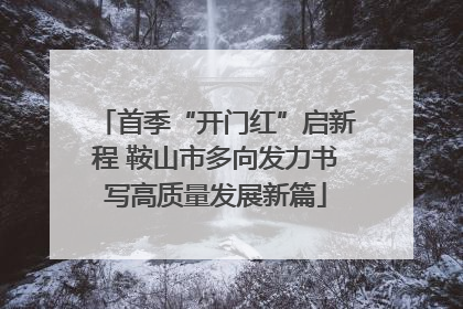 首季“开门红”启新程 鞍山市多向发力书写高质量发展新篇
