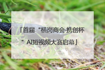 首届“横岗商会·携创杯”AI短视频大赛启幕