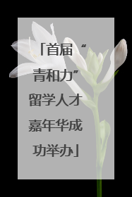 首届“青和力”留学人才嘉年华成功举办