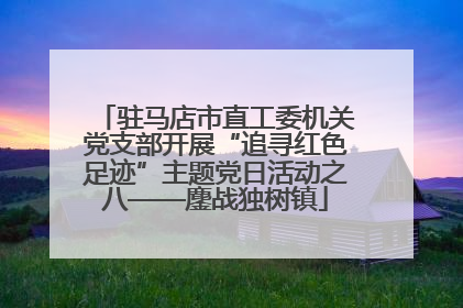 驻马店市直工委机关党支部开展“追寻红色足迹”主题党日活动之八——鏖战独树镇