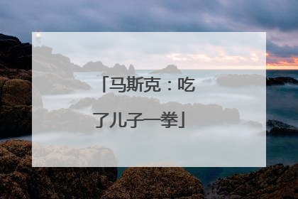 马斯克：吃了儿子一拳