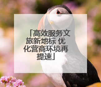 高效服务文旅新地标 优化营商环境再提速