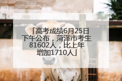 高考成绩6月25日下午公布，菏泽市考生81602人，比上年增加1710人