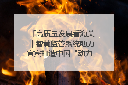 高质量发展看海关｜智慧监管系统助力宜宾打造中国“动力电池之都”