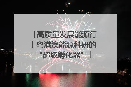 高质量发展能源行丨粤港澳能源科研的“超级孵化器”