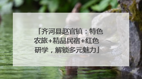 齐河县赵官镇：特色农旅+精品民宿+红色研学，解锁多元魅力