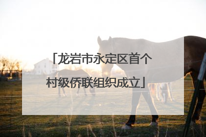 龙岩市永定区首个村级侨联组织成立
