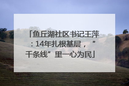 鱼丘湖社区书记王萍：14年扎根基层，“千条线”里一心为民