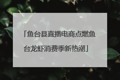 鱼台县直播电商点燃鱼台龙虾消费季新热潮