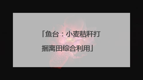 鱼台：小麦秸秆打捆离田综合利用