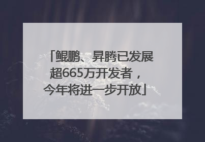 鲲鹏、昇腾已发展超665万开发者，今年将进一步开放