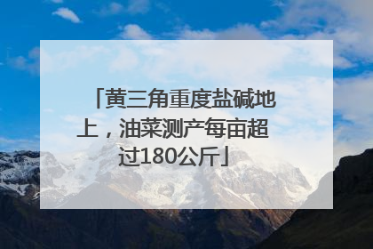 黄三角重度盐碱地上，油菜测产每亩超过180公斤
