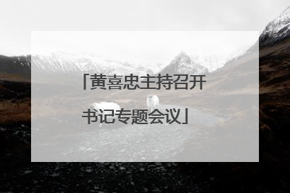 黄喜忠主持召开书记专题会议