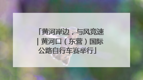 黄河岸边，与风竞速｜黄河口（东营）国际公路自行车赛举行