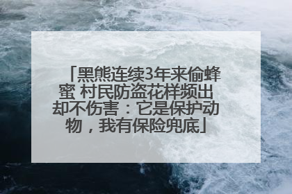 黑熊连续3年来偷蜂蜜 村民防盗花样频出却不伤害：它是保护动物，我有保险兜底