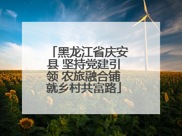 黑龙江省庆安县 坚持党建引领 农旅融合铺就乡村共富路