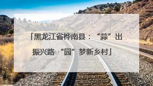 黑龙江省桦南县：“蒜”出振兴路 “园”梦新乡村