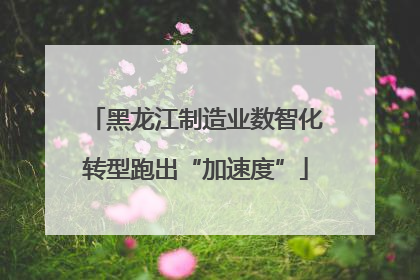 黑龙江制造业数智化转型跑出“加速度”