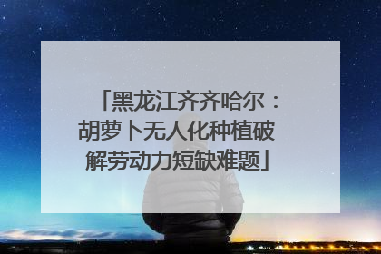黑龙江齐齐哈尔：胡萝卜无人化种植破解劳动力短缺难题