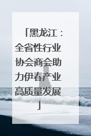 黑龙江：全省性行业协会商会助力伊春产业高质量发展