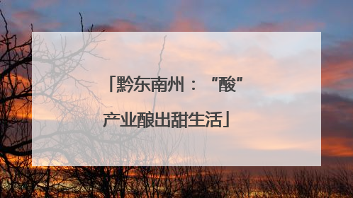 黔东南州：“酸”产业酿出甜生活