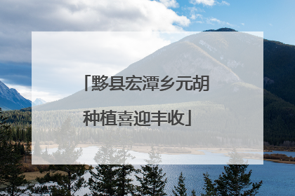 黟县宏潭乡元胡种植喜迎丰收