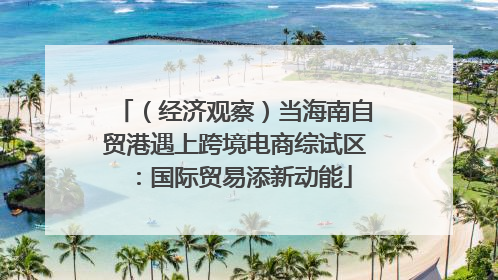 （经济观察）当海南自贸港遇上跨境电商综试区：国际贸易添新动能