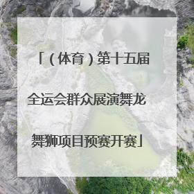 （体育）第十五届全运会群众展演舞龙舞狮项目预赛开赛