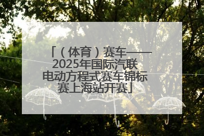 （体育）赛车——2025年国际汽联电动方程式赛车锦标赛上海站开赛
