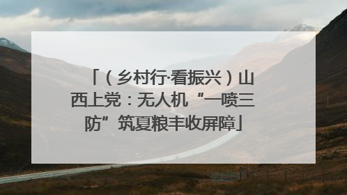 （乡村行·看振兴）山西上党：无人机“一喷三防”筑夏粮丰收屏障