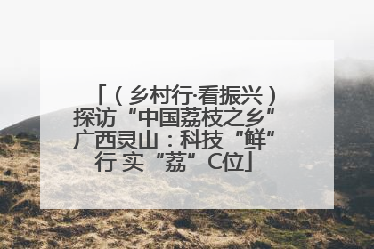 （乡村行·看振兴）探访“中国荔枝之乡”广西灵山：科技“鲜”行 实“荔”C位