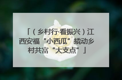（乡村行·看振兴）江西安福“小西瓜”撬动乡村共富“大支点”