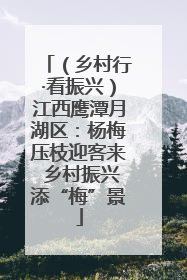 （乡村行·看振兴）江西鹰潭月湖区：杨梅压枝迎客来 乡村振兴添“梅”景