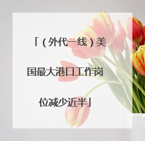 （外代一线）美国最大港口工作岗位减少近半