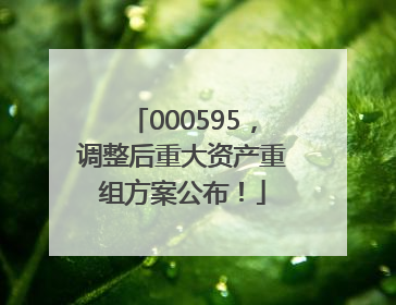 000595，调整后重大资产重组方案公布！