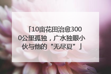 10亩花田治愈3000公里孤独，广水独眼小伙与他的“无尽夏”