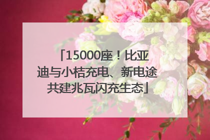 15000座！比亚迪与小桔充电、新电途共建兆瓦闪充生态