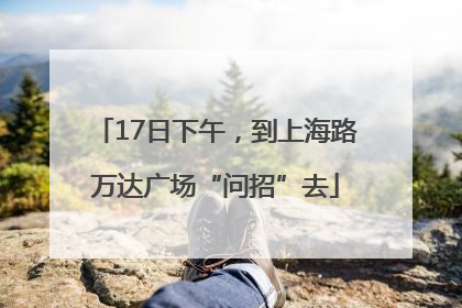 17日下午，到上海路万达广场“问招”去