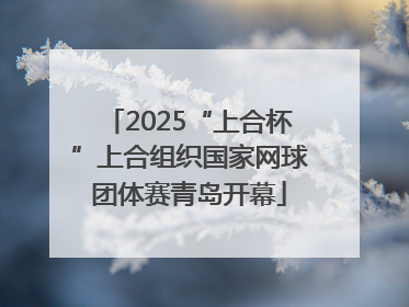2025“上合杯”上合组织国家网球团体赛青岛开幕