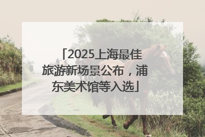 2025上海最佳旅游新场景公布，浦东美术馆等入选