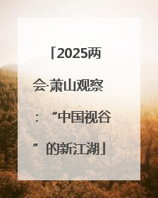 2025两会·萧山观察：“中国视谷”的新江湖